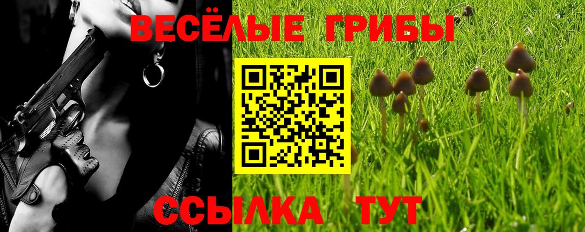 Балахна  Галлюциногенные грибы ЛСД  Вход с VPN 